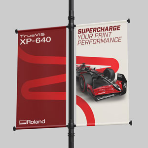 roland printer offer