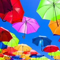 Avery DOL 3460 Gloss Lamination Film 50m roll