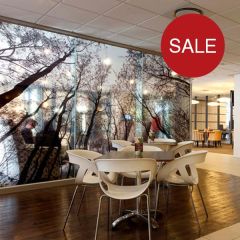 DG-CAL 3100 Clear Gloss Digital 3-5 Year 1370mm